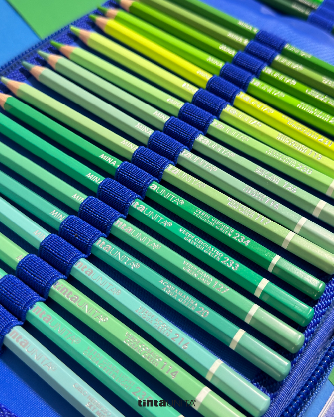 BLU VERDE CHIARO copia