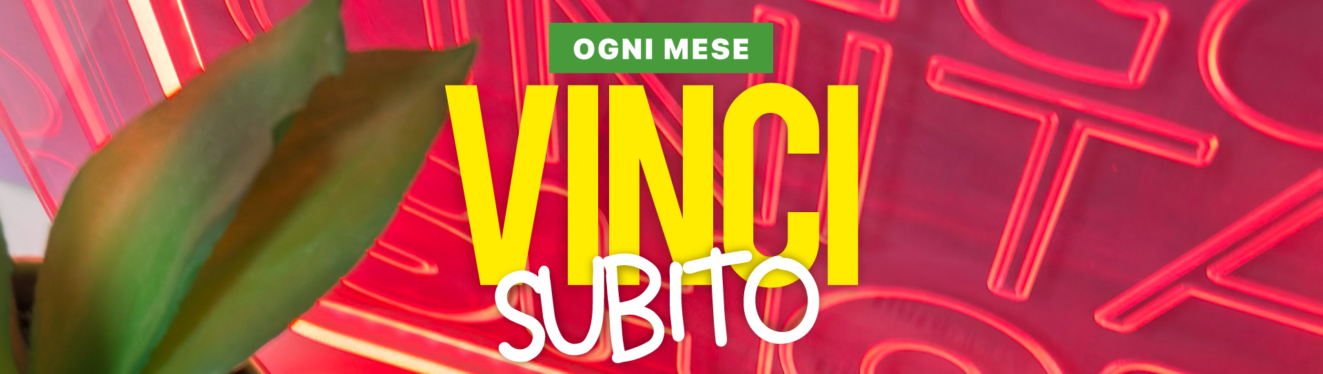 tushop concorsi header